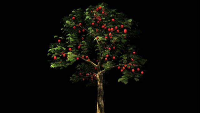 1998_Tree